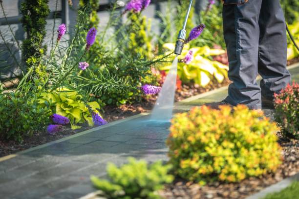 Roodhouse, IL Pressure Washing Services Company