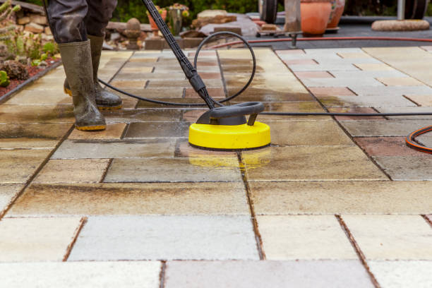 Best Fence Cleaning and Maintenance in Roodhouse, IL